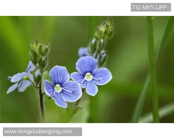 足球巨星豪掷千金与节俭本色背后的人生智慧对比解读 足球巨星豪掷千金与节俭本色背后的人生智慧对比解读