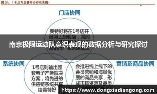 南京极限运动队意识表现的数据分析与研究探讨